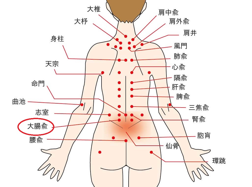 ツボ06(大腸兪)