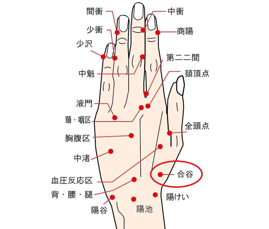 ツボ04(合谷)
