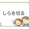 しらを切る